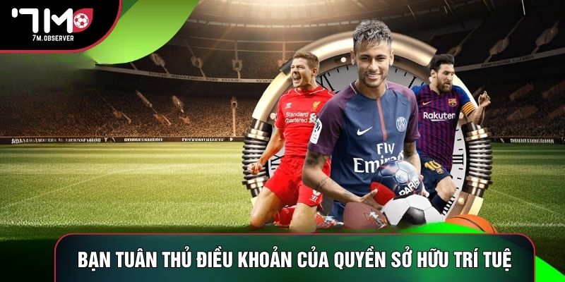 Bạn tuân thủ điều khoản của quyền sở hữu trí tuệ