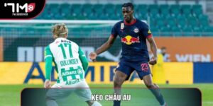 Kèo Châu Âu: Cẩm Nang Chuyên Sâu Cho Những Người Mới
