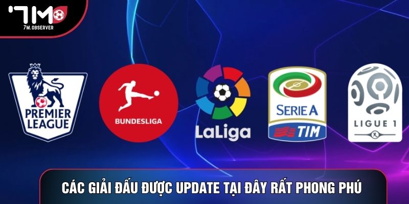 Các giải đấu được update tại đây rất phong phú 