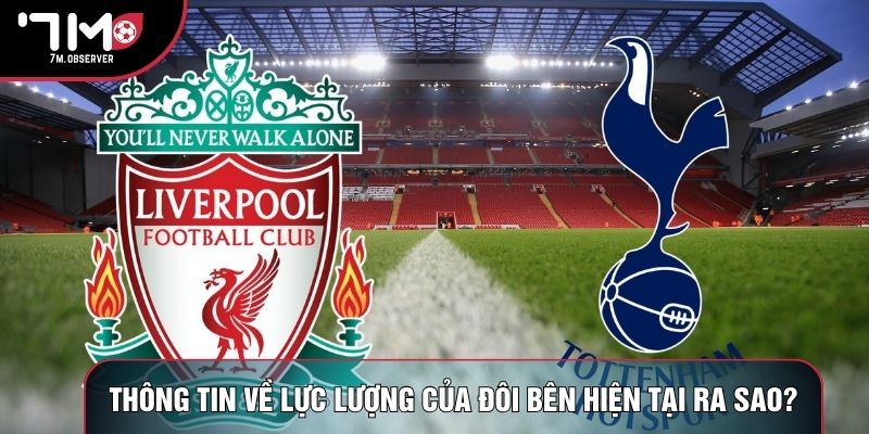Thông tin về lực lượng của đôi bên hiện tại ra sao?